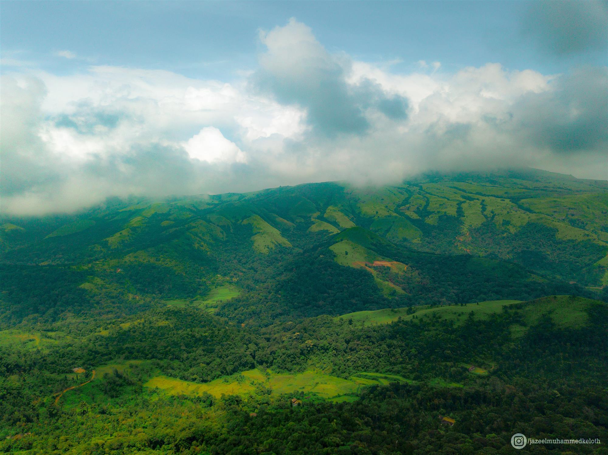 Coorg Coffee Plantations